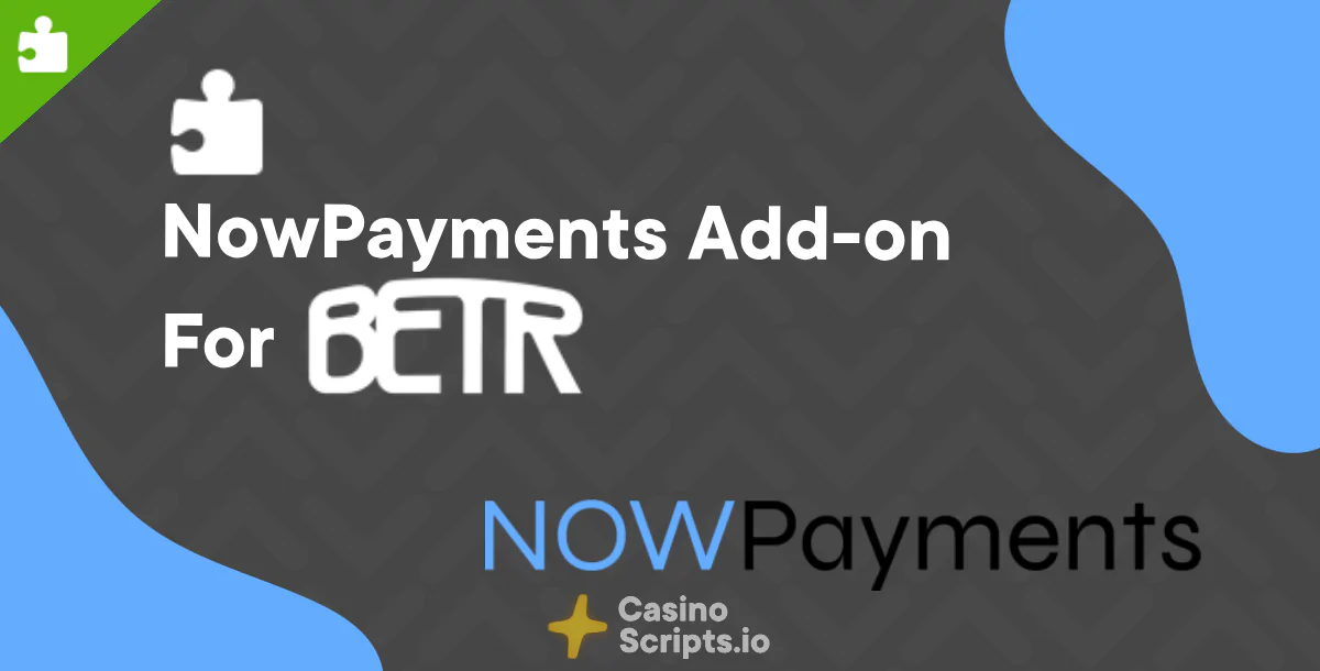 NOWPayments Gateway For Betr